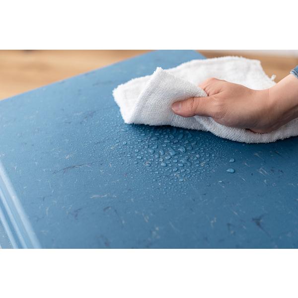 ワンハンドパッキンペール 70L RSD-52 ゴミ箱 ごみ箱 ダストボックス 70リットル ふた付き  キッチン 台所 リビング ロック機能付き パッキン付き   ブルー 青 | 東谷 | 16