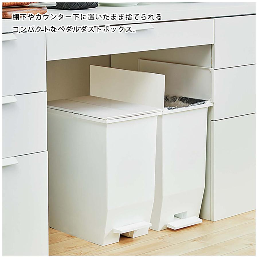 SOLOW ペダルオープンツイン45L RSD-78 ゴミ箱 ダストボックス 抗菌・防汚加工 フタ付き キッチン | 東谷 | 03