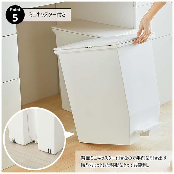 SOLOW ペダルオープンツイン45L RSD-78 ゴミ箱 ダストボックス 抗菌・防汚加工 フタ付き キッチン | 東谷 | 08
