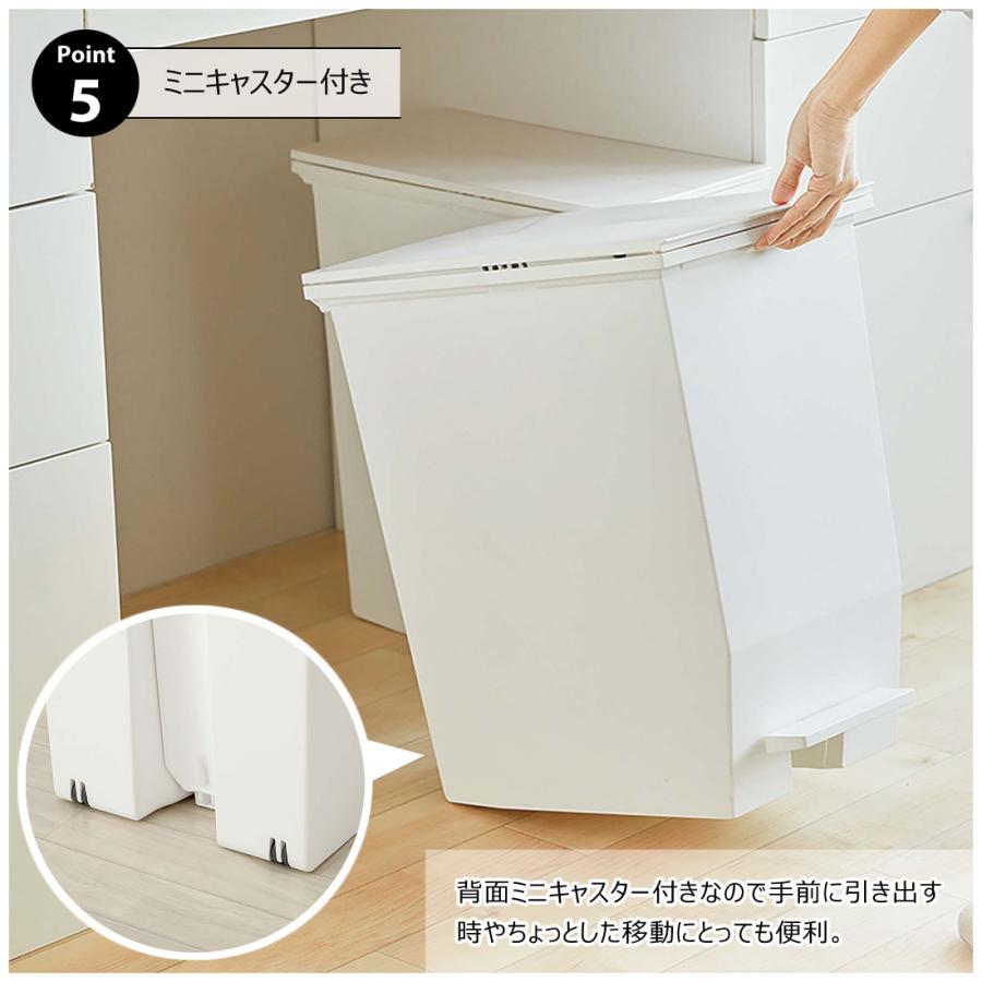 SOLOW ペダルオープンツイン45L RSD-78 ゴミ箱 ダストボックス 抗菌・防汚加工 フタ付き キッチン | 東谷 | 08