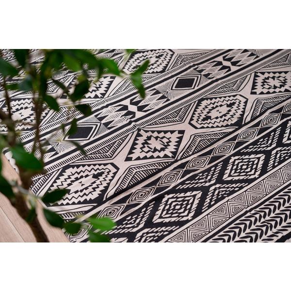 ラグ TTR-161 マット リビング ダイニング キッチン 台所 玄関 フローリング 絨毯 柄物 モダン ナチュラル | 東谷 | 09