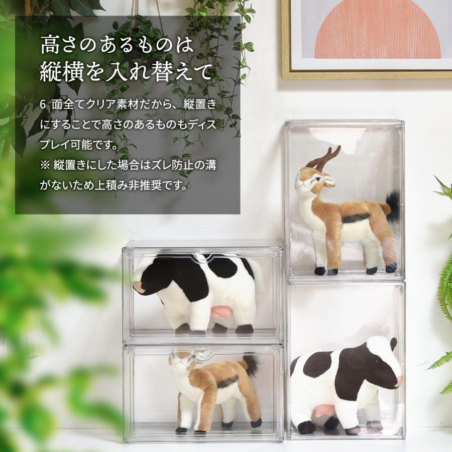 マルチクリアボックス ONBX0118PLCLR 2個セット コレクションケース ディスプレイケース 収納 | B.Bファニシング | 07