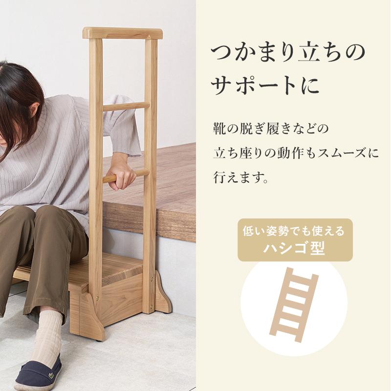 HAGiHARA（萩原） 手すり付き玄関踏み台（片側手すり・ワイド） MFD