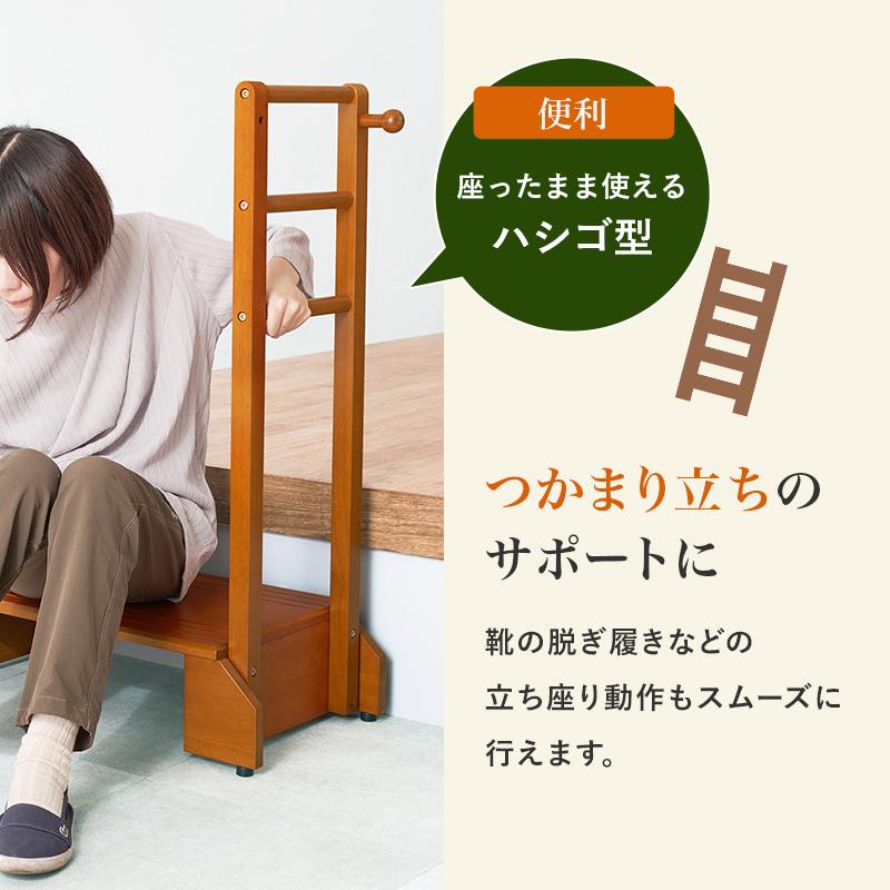 HAGiHARA（萩原） 手すり付き玄関踏み台（片側手すり・ワイド） VH