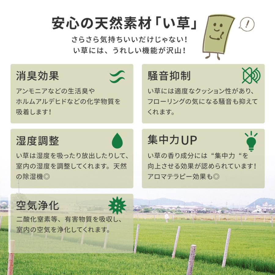 フリーカット裏付き い草カーペット みすず 江戸間8畳 江戸間8帖 約352×352cm 158012080 補修テープ付き ラグ 上敷き はっ水加工 双目織 カット可 畳 | HAGiHARA | 08