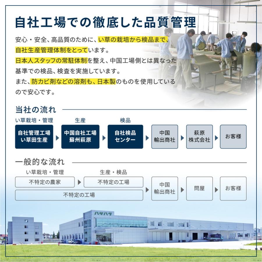 【6枚セット】アジアンテイストの軽量小型置き畳 南風 159054994 6枚組 約65×65×2.5cm い草 天然素材 クッション性 消臭 コンパクト | HAGiHARA | 14
