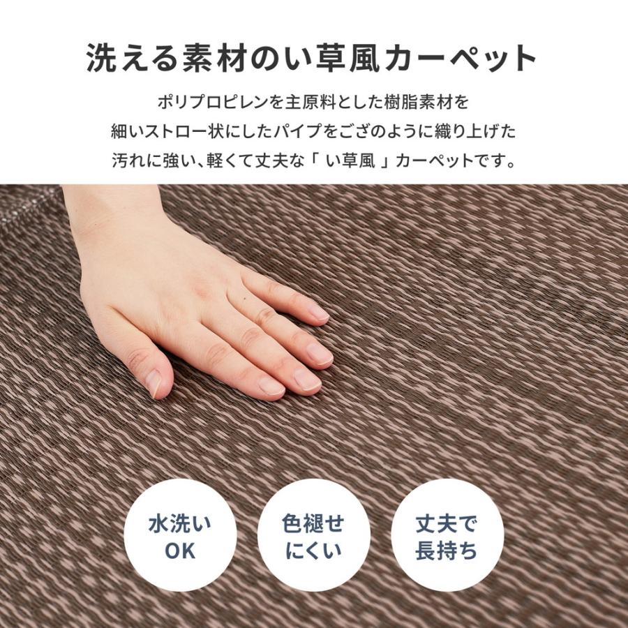 洗えるい草風カーペット　ライアン 江戸間1畳 約87×174cm 18912410 PP柄上敷 い草 ラグ カーペット 水洗いOK 和室 和風 模様替え PP素材 | HAGiHARA | 05