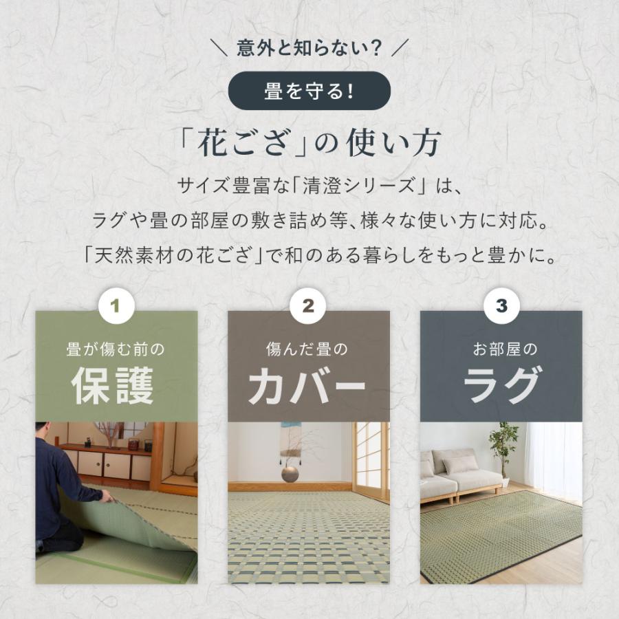 い草カーペット 清澄 せいちょう 江戸間6帖 6畳 約261×352cm 81970760 い草 ラグ 帖物 裏無し い草柄上敷き 花ござ 和モダン 市松柄