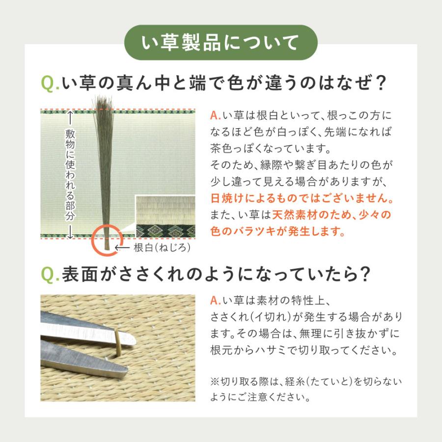 い草カーペット 清澄 せいちょう 本間 8帖 8畳 約382×382m 81970880 い草 ラグ 帖物 裏無し い草柄上敷き 花ござ 和モダン 市松柄