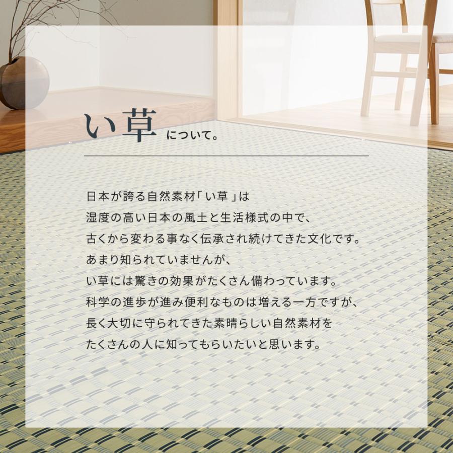 い草カーペット 清澄 せいちょう 本間 8帖 8畳 約382×382m 81970880 い草 ラグ 帖物 裏無し い草柄上敷き 花ござ 和モダン 市松柄