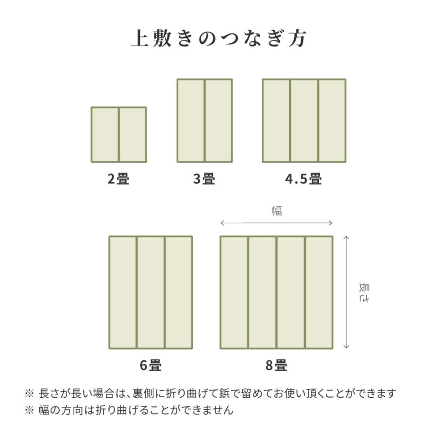 い草カーペット（裏貼り） 涼み 江戸間 6帖 6畳 約261×352cm 81970960 い草 ラグ 帖物 裏貼り い草柄上敷き 花ござ モダン 和室