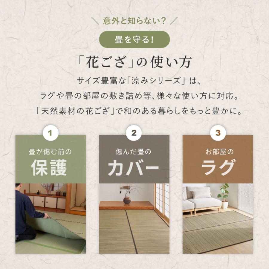 い草カーペット（裏貼り） 涼み 江戸間 6帖 6畳 約261×352cm 81970960 い草 ラグ 帖物 裏貼り い草柄上敷き 花ござ モダン 和室
