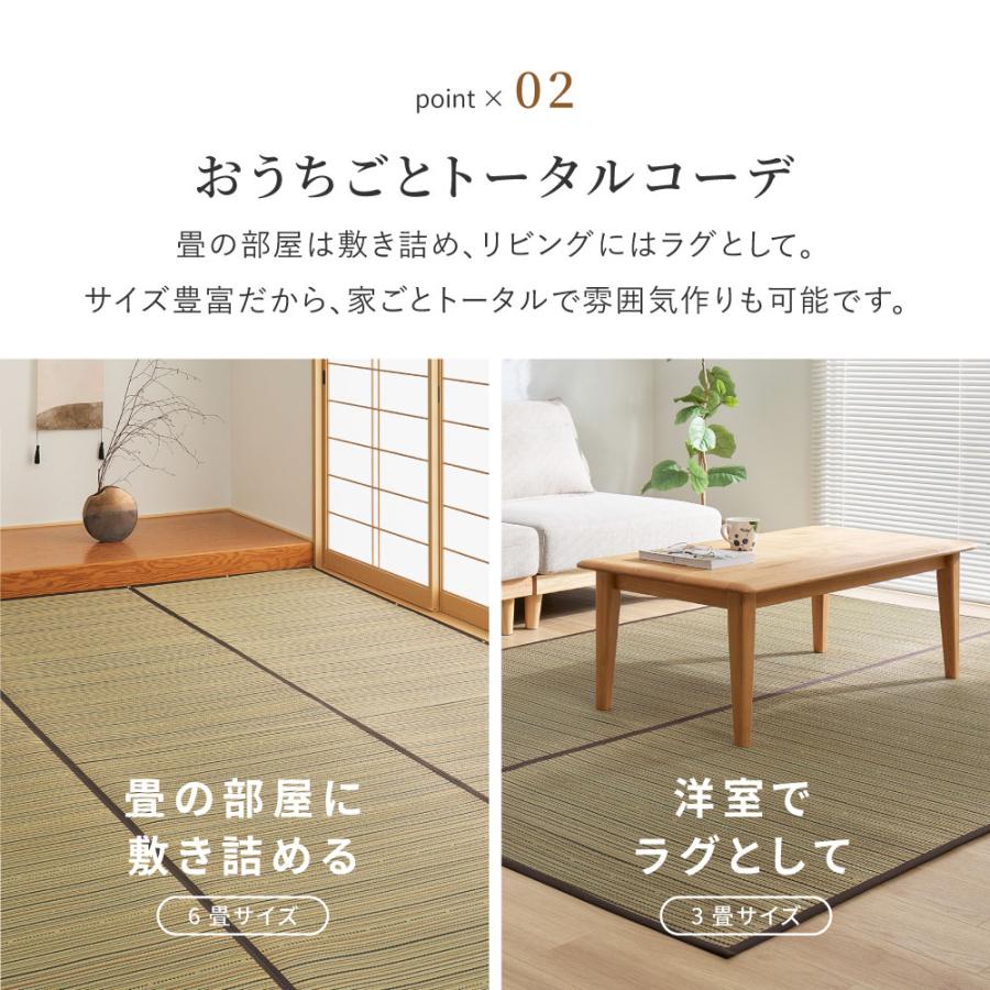 い草カーペット（裏貼り） 涼み 江戸間 6帖 6畳 約261×352cm 81970960 い草 ラグ 帖物 裏貼り い草柄上敷き 花ござ モダン 和室