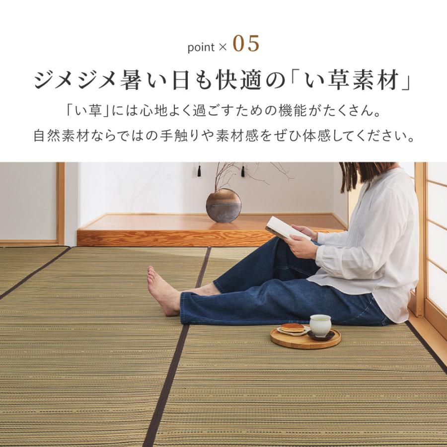 い草カーペット（裏貼り） 涼み 江戸間 6帖 6畳 約261×352cm 81970960 い草 ラグ 帖物 裏貼り い草柄上敷き 花ござ モダン 和室