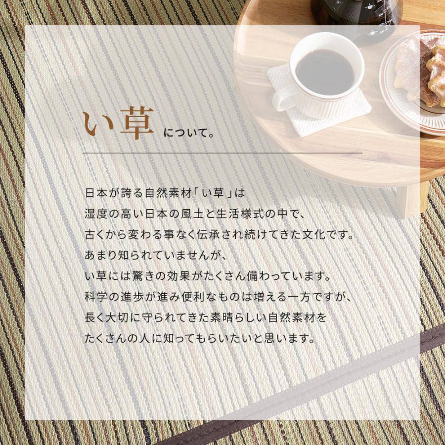 い草カーペット（裏貼り） 涼み 江戸間 6帖 6畳 約261×352cm 81970960 い草 ラグ 帖物 裏貼り い草柄上敷き 花ござ モダン 和室