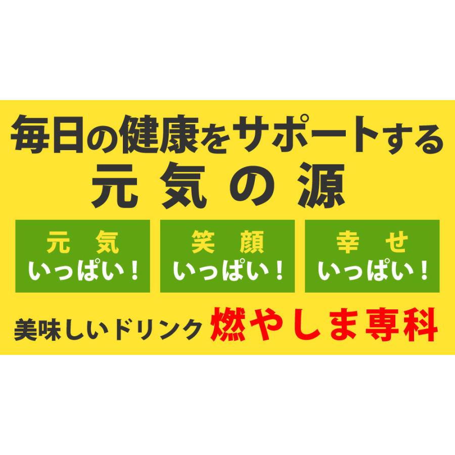 ◆送料無料・即日発送◆※ETC 燃やしま専科 レモン風味(500g入り) クエン酸 コラーゲン スポーツドリンク 粉末清涼飲料 新品00/01/01｜item-7749086｜08