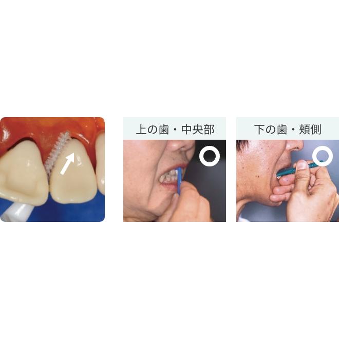 LION（ライオン） DENT.EX 歯間ブラシ 4S 4本入 4個セット レッド