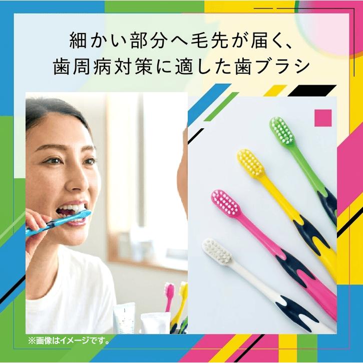 GC（ジーシー） ルシェロ P-10 M 歯ブラシ 5本 ふつう p10m : Dental