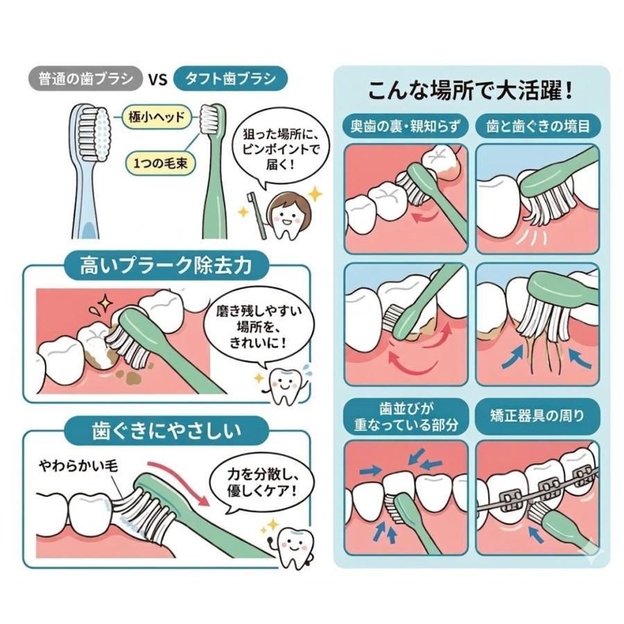Oral Care（オーラルケア） タフト24 S / M / MS / SS 10本 アソート