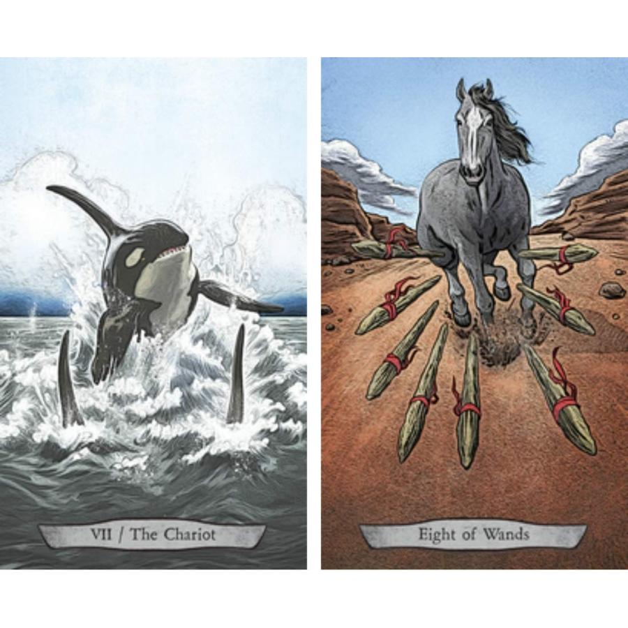 アニマル トーテム タロット Animal Totem Tarot タロットカード