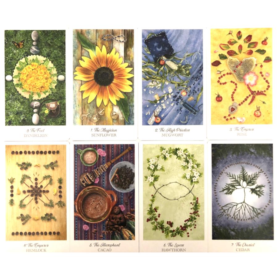 ヒロ★タロット e233278aa75d05dd4e4d7ce3f9f9bd