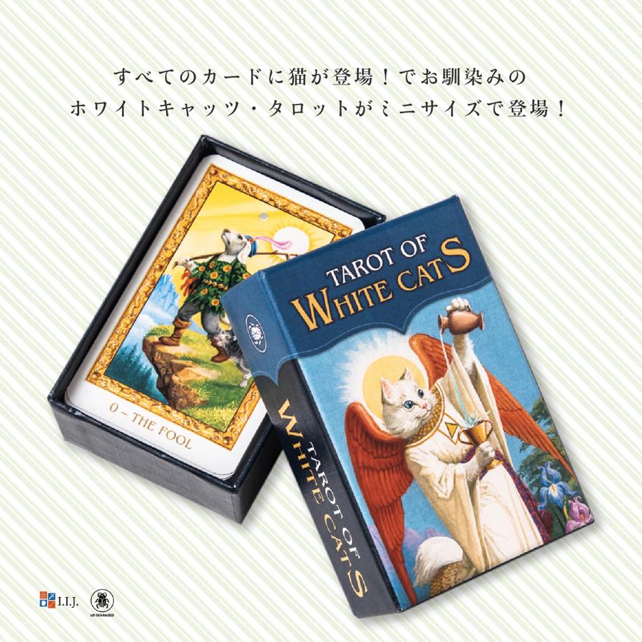 Way tarot 日本未発売 タロットカード 未使用 Amazon.co.jp: I.I.J タロットカード ドリーミング・ウェイ
