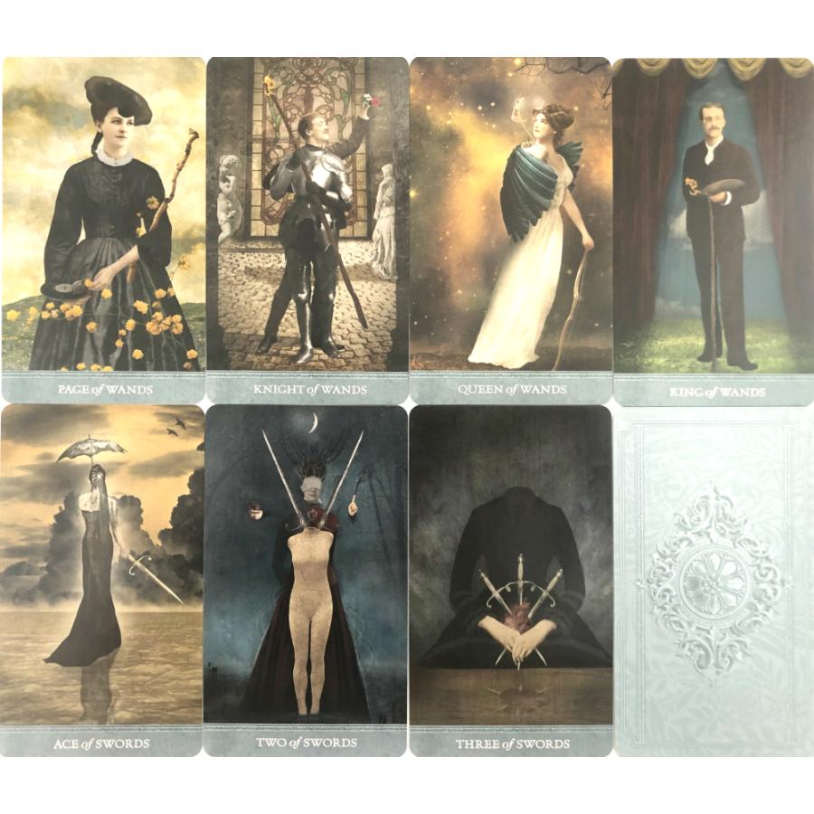 ドリーム キーパーズ タロット The Dreamkeepers Tarot タロット