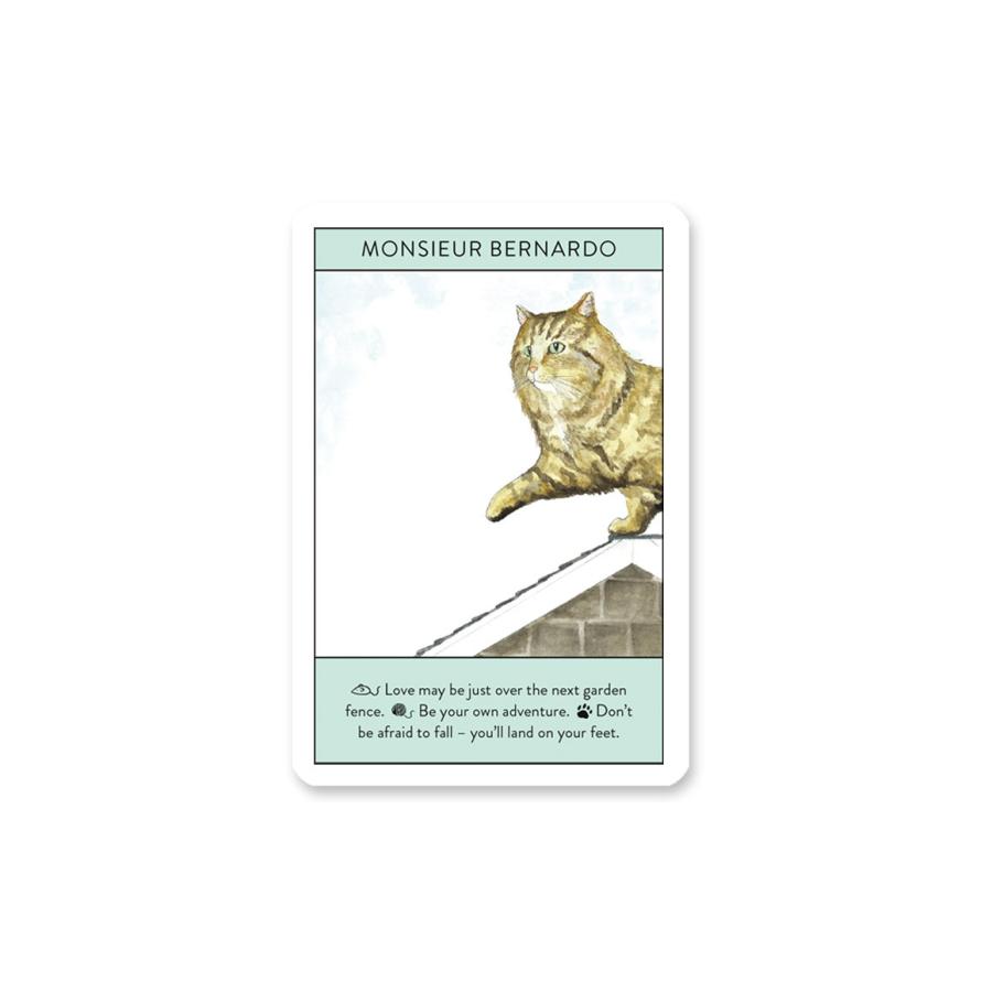 正規品オラクルカード】韓国インディーズ✨猫の気持ちを知る超キュート