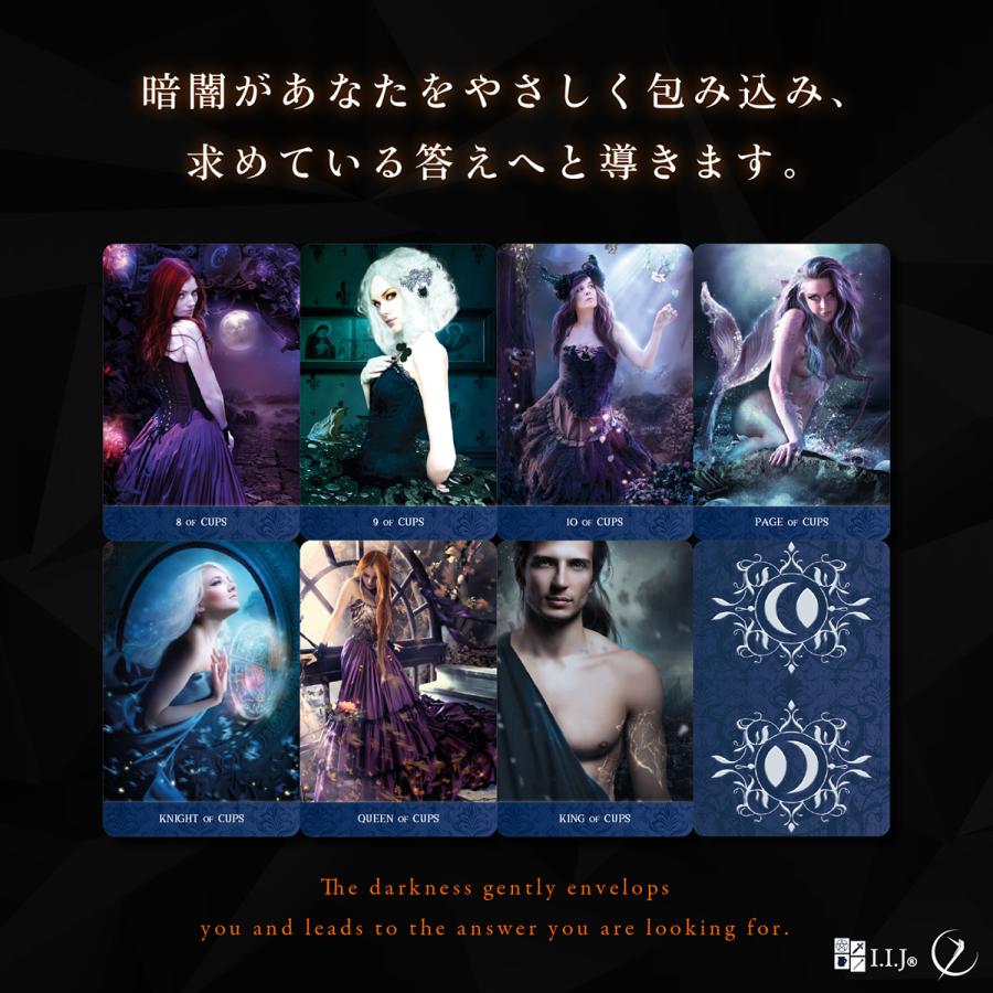 タロット・ド・ラ・ニュイ TAROT DE LA NUIT タロットカード