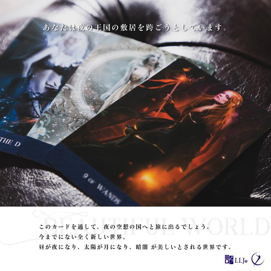 タロット・ド・ラ・ニュイ TAROT DE LA NUIT タロットカード