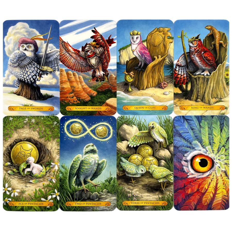 タロット・オブ・ザ・オウル Tarot of the Owls タロットカード