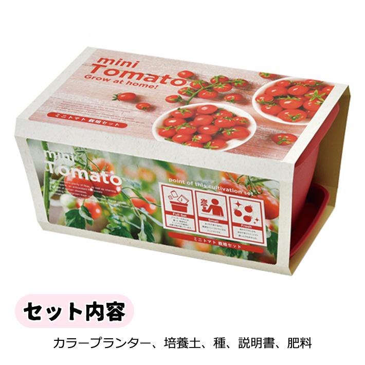 エンジョイプランターベジ ミニトマト 栽培セット GD-931-02 園芸