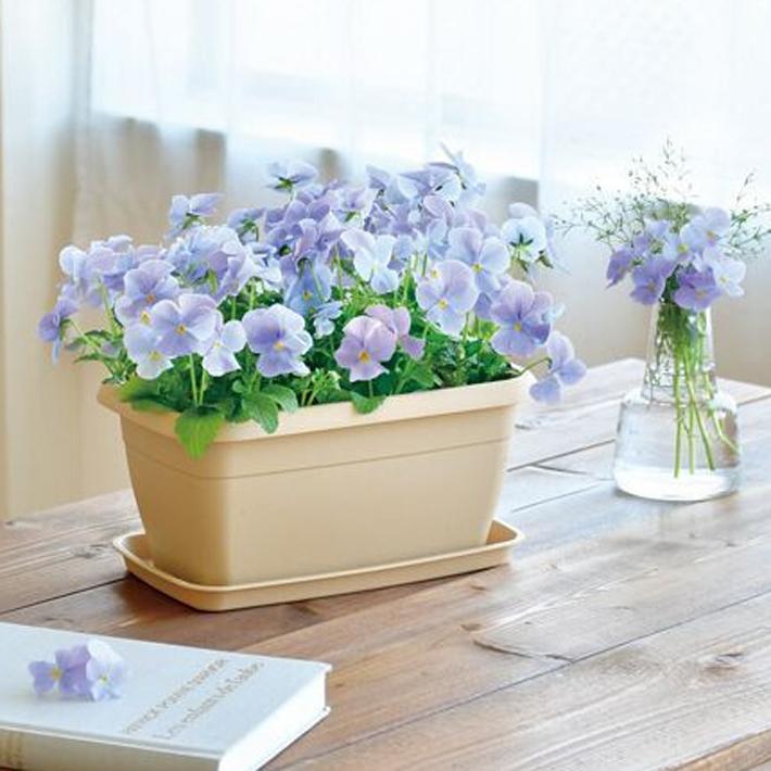 送料無料 エンジョイプランター フラワー ビオラ 栽培セット Gd 932 03 園芸 キット ガーデニング プレゼント 宿題 春休み 夏休み 母の日 父の日 花 アイテムジャパン 通販 Yahoo ショッピング