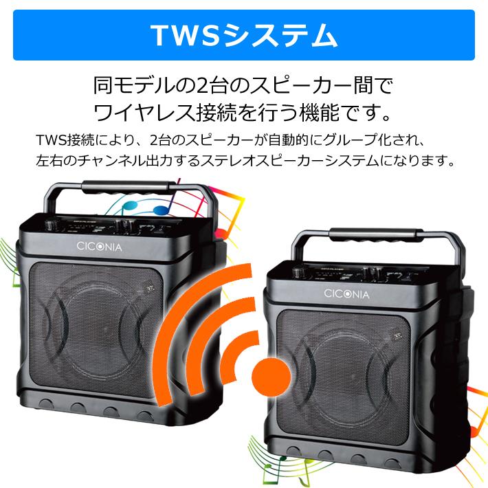 CICONIA（チコニア） デスクトップスピーカー CDD160A ワイヤレス