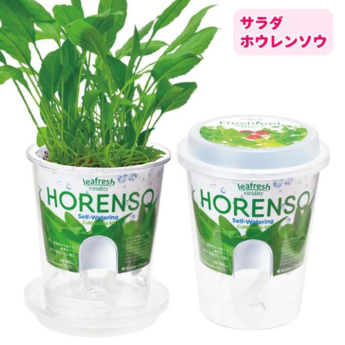 栽培セット フレッシュフィール GD-819 栽培キット ハーブ