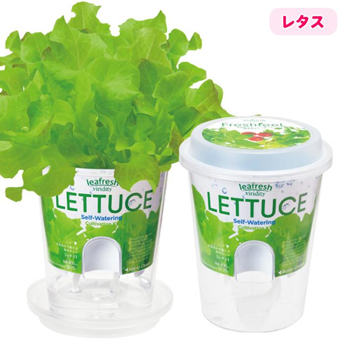 栽培セット フレッシュフィール GD-819 栽培キット ハーブ