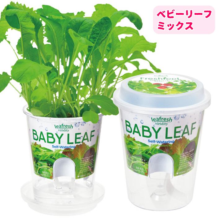 Willing plant 園芸セット 2026年最新】willing plantの人気アイテム