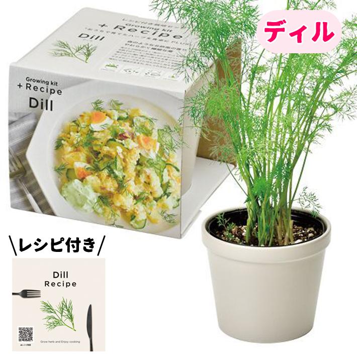 送料無料 レシピ付き 栽培セット Recipe Gd 951 栽培キット ハーブ プレゼント ギフト 贈り物 母の日 父の日 敬老の日 観葉植物 ミント パセリ バジル ディル Gd 951 アイテムジャパン 通販 Yahoo ショッピング