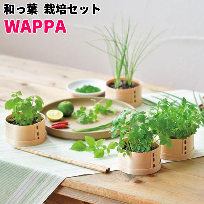 送料無料 和っ葉 栽培セット Gd 956 Wappa キット ガーデニング プレゼント ギフト 贈り物 母の日 父の日 敬老の日 観葉植物 シソ ミツバ 曲げわっぱ 薬味 Gd 956 アイテムジャパン 通販 Yahoo ショッピング