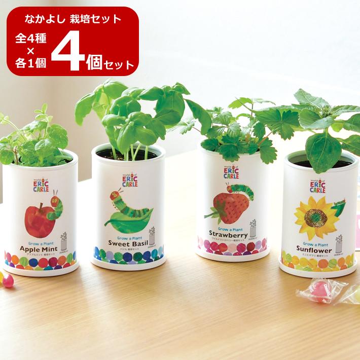 4個セット はらぺこあおむし なかよし栽培セット HP-02 キット 