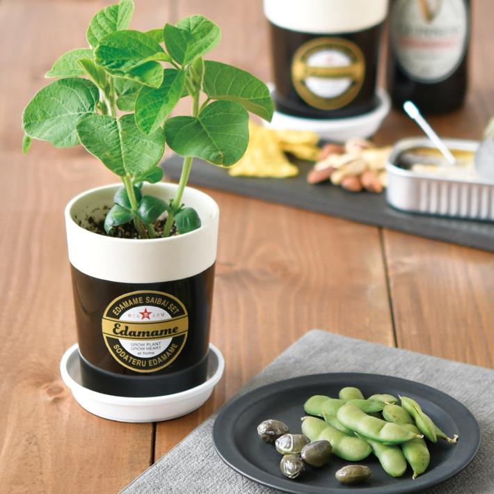 枝豆＆黒枝豆 2個セット えだまめ 栽培セット GD-979 園芸