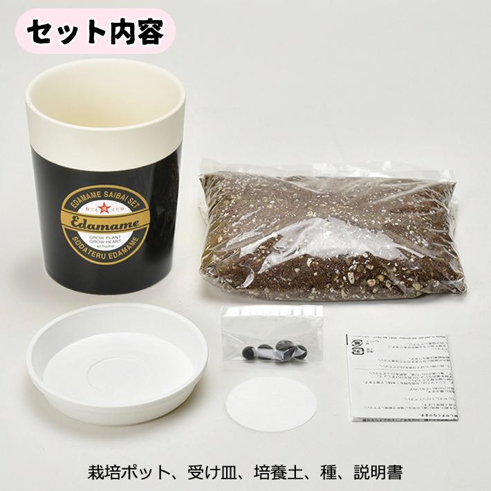 枝豆＆黒枝豆 2個セット えだまめ 栽培セット GD-979 園芸 キット