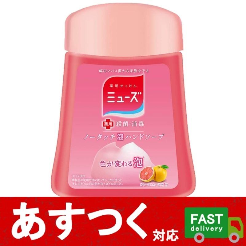 アース製薬 （250ml×1個 ミューズ グレープフルーツの香り ノータッチ