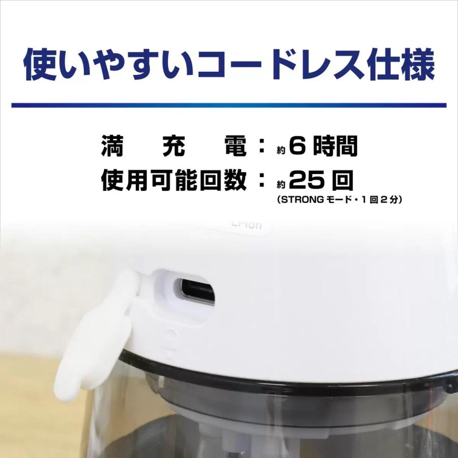 ドリテック （ドリテック 口腔洗浄器 ジェットクリーン FS-100DWTCO