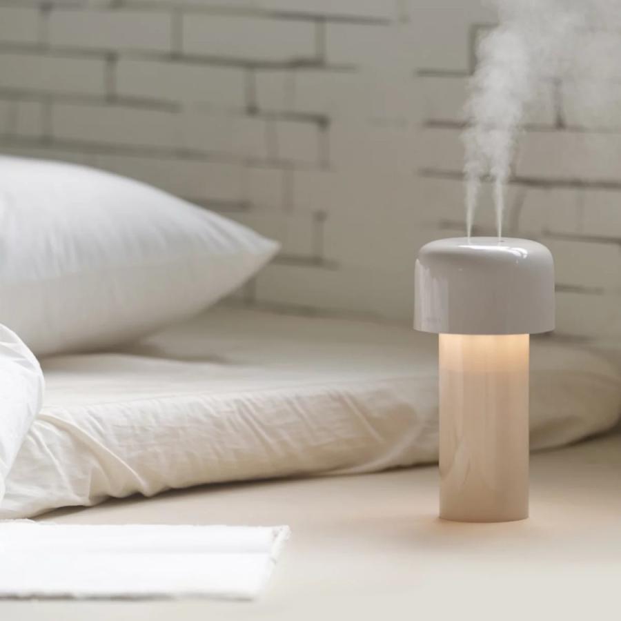 HANAAirdog H6 加湿器 置き型 コードレス デスク 加湿器 HUMID H6 2個入り ホワイト + USB-C 充電式