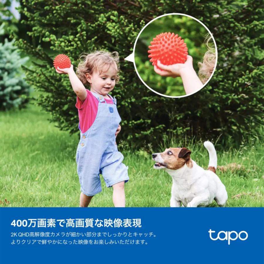【T】カメラアソートセット８ TC85 KIT | Solar-Powered Security Camera Kit | TP-Link