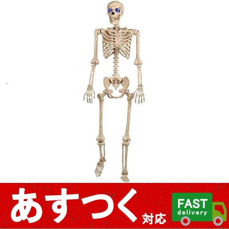 スケルトン 全長約152cm ハロウィン クリスマス イベント スカル ガイコツ 人形 パーティー グッズ 150cm Ledライトで目が光る コストコ Iz Co1141 アイテンプ 通販 Yahoo ショッピング