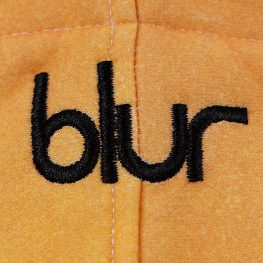PLEASURES/プレジャーズ×Blur/ブラー】BLUR HOODIE パーカー / MULTI 