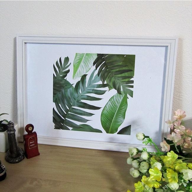 メール便送料無料 ポスター 白壁の観葉植物 インテリア ヨーロッパ アメリカ アート フォト インテリア 写真 サイズ インスタグラム インスタ映え イ 1 Akaiyane 122 Shopooo By Gmo 通販 Yahoo ショッピング