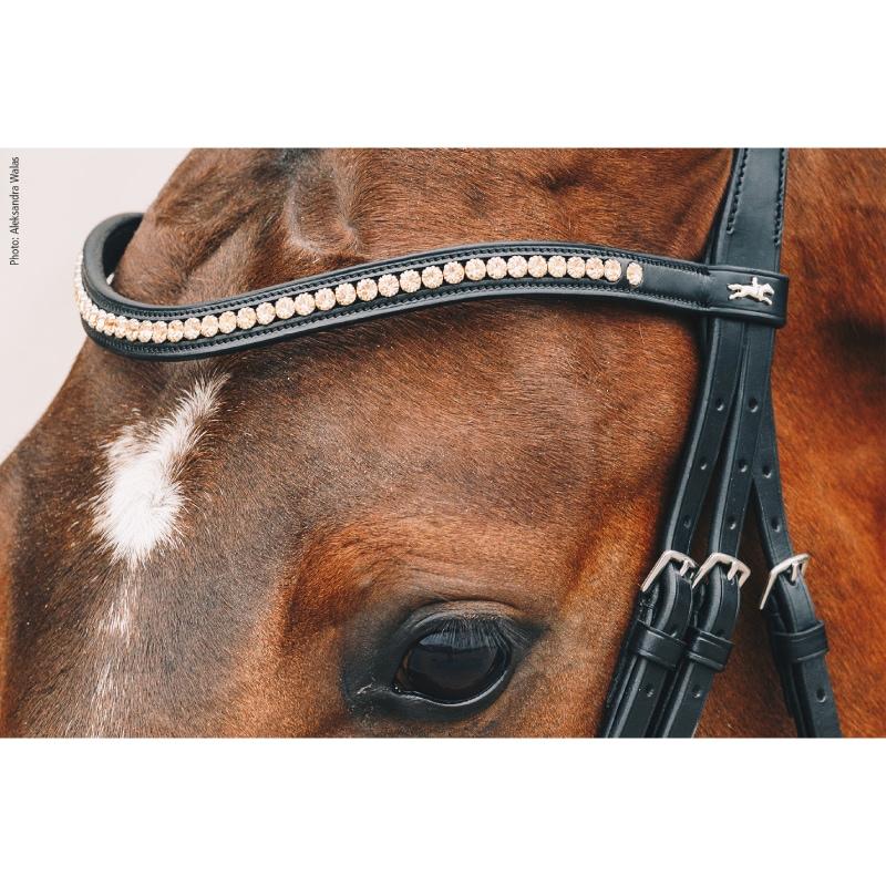 SCHOCKEMOHLE（ショッケミューレ） ダイア 額革 : 1-cavallok-2240  